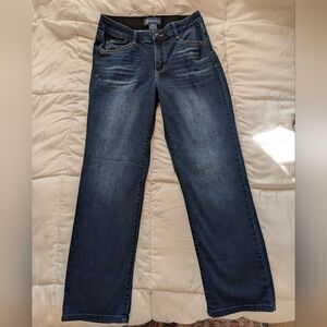 Democracy Ab Solution Dark Wash Denim Straight-Leg Jeans Size 8 Petite